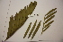  ( - PR782)  @11 [ ] Unspecified (default): All Rights Reserved  Unspecified Unspecified