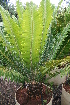  ( - PR783)  @11 [ ] Unspecified (default): All Rights Reserved  Unspecified Unspecified