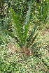  ( - PR788)  @11 [ ] Unspecified (default): All Rights Reserved  Unspecified Unspecified