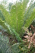  ( - PR797)  @11 [ ] Unspecified (default): All Rights Reserved  Unspecified Unspecified