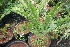  ( - PR798)  @11 [ ] Unspecified (default): All Rights Reserved  Unspecified Unspecified