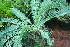  ( - PR801)  @11 [ ] Unspecified (default): All Rights Reserved  Unspecified Unspecified