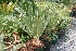  ( - PR807)  @11 [ ] Unspecified (default): All Rights Reserved  Unspecified Unspecified