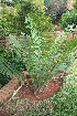  ( - PR824)  @11 [ ] Unspecified (default): All Rights Reserved  Unspecified Unspecified