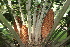  ( - PR891)  @11 [ ] CreativeCommons - Attribution Non-Commercial Share-Alike (2011) Philip Rousseau Private