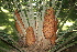  ( - PR891)  @11 [ ] CreativeCommons - Attribution Non-Commercial Share-Alike (2011) Philip Rousseau Private