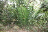  ( - PR898)  @11 [ ] CreativeCommons - Attribution Non-Commercial Share-Alike (2011) Philip Rousseau Private