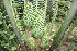  ( - PR899)  @11 [ ] CreativeCommons - Attribution Non-Commercial Share-Alike (2011) Philip Rousseau Private