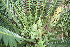  ( - PR899)  @11 [ ] CreativeCommons - Attribution Non-Commercial Share-Alike (2011) Philip Rousseau Private