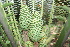  ( - PR899)  @11 [ ] CreativeCommons - Attribution Non-Commercial Share-Alike (2011) Philip Rousseau Private