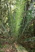  ( - PR904)  @11 [ ] CreativeCommons - Attribution Non-Commercial Share-Alike (2011) Philip Rousseau Private