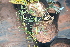  ( - PR908)  @11 [ ] CreativeCommons - Attribution Non-Commercial Share-Alike (2011) Philip Rousseau Private