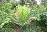  ( - PR914)  @11 [ ] CreativeCommons - Attribution Non-Commercial Share-Alike (2011) Philip Rousseau Private