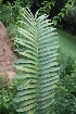  ( - PR916)  @11 [ ] CreativeCommons - Attribution Non-Commercial Share-Alike (2011) Philip Rousseau Private