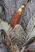  ( - PR835)  @11 [ ] Unspecified (default): All Rights Reserved  Unspecified Unspecified