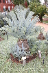  ( - PR836)  @11 [ ] Unspecified (default): All Rights Reserved  Unspecified Unspecified
