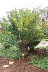  ( - PR829)  @11 [ ] Unspecified (default): All Rights Reserved  Unspecified Unspecified