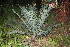  ( - PR859)  @11 [ ] CreativeCommons - Attribution Non-Commercial Share-Alike (2011) Philip Rousseau Private