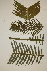  ( - PR902)  @11 [ ] Unspecified (default): All Rights Reserved  No Rights Reserved Unspecified