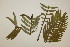  ( - PR905)  @11 [ ] Unspecified (default): All Rights Reserved  No Rights Reserved Unspecified