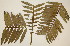  ( - PR916)  @11 [ ] Unspecified (default): All Rights Reserved  No Rights Reserved Unspecified