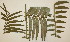  ( - PR917)  @11 [ ] Unspecified (default): All Rights Reserved  No Rights Reserved Unspecified
