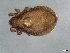  ( - CcR09_1)  @11 [ ] Copyright (2018) Kerschbaumer University of Graz, Dept. of Biology