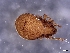  ( - CcR101_2)  @11 [ ] Copyright (2018) Kerschbaumer University of Graz, Dept. of Biology