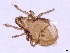  ( - CcR21_4)  @11 [ ] Copyright (2018) Kerschbaumer University of Graz, Dept. of Biology