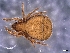  ( - CcR90_4)  @11 [ ] Copyright (2018) Kerschbaumer University of Graz, Dept. of Biology