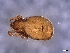  ( - CcR90_6)  @11 [ ] Copyright (2018) Kerschbaumer University of Graz, Dept. of Biology