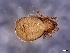  ( - CcR92_1)  @11 [ ] Copyright (2018) Kerschbaumer University of Graz, Dept. of Biology