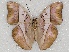  ( - ABRI_055)  @14 [ ] Unspecified (default): All Rights Reserved  Unspecified Unspecified
