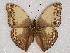  ( - ABRI_119)  @11 [ ] Unspecified (default): All Rights Reserved  Unspecified Unspecified