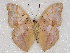 ( - ABRI_119)  @11 [ ] Unspecified (default): All Rights Reserved  Unspecified Unspecified