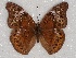  ( - ABRI_120)  @11 [ ] Unspecified (default): All Rights Reserved  Unspecified Unspecified