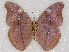  ( - ABRI_120)  @11 [ ] Unspecified (default): All Rights Reserved  Unspecified Unspecified