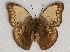  ( - ABRI_121)  @11 [ ] Unspecified (default): All Rights Reserved  Unspecified Unspecified