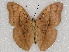  ( - ABRI_121)  @11 [ ] Unspecified (default): All Rights Reserved  Unspecified Unspecified