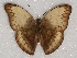  ( - ABRI_122)  @11 [ ] Unspecified (default): All Rights Reserved  Unspecified Unspecified