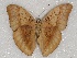  ( - ABRI_122)  @11 [ ] Unspecified (default): All Rights Reserved  Unspecified Unspecified