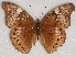  ( - ABRI_123)  @11 [ ] Unspecified (default): All Rights Reserved  Unspecified Unspecified