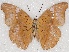  ( - ABRI_123)  @11 [ ] Unspecified (default): All Rights Reserved  Unspecified Unspecified