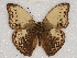  ( - ABRI_124)  @11 [ ] Unspecified (default): All Rights Reserved  Unspecified Unspecified