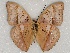  ( - ABRI_124)  @11 [ ] Unspecified (default): All Rights Reserved  Unspecified Unspecified