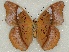  ( - ABRI_154)  @11 [ ] Unspecified (default): All Rights Reserved  Unspecified Unspecified
