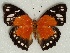 ( - ABRI_184)  @11 [ ] Unspecified (default): All Rights Reserved  Unspecified Unspecified