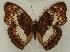  ( - ABRI_224)  @11 [ ] Unspecified (default): All Rights Reserved  Unspecified Unspecified