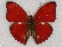  ( - ABRI_232)  @11 [ ] Unspecified (default): All Rights Reserved  Unspecified Unspecified