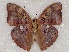  ( - ABRI_232)  @11 [ ] Unspecified (default): All Rights Reserved  Unspecified Unspecified